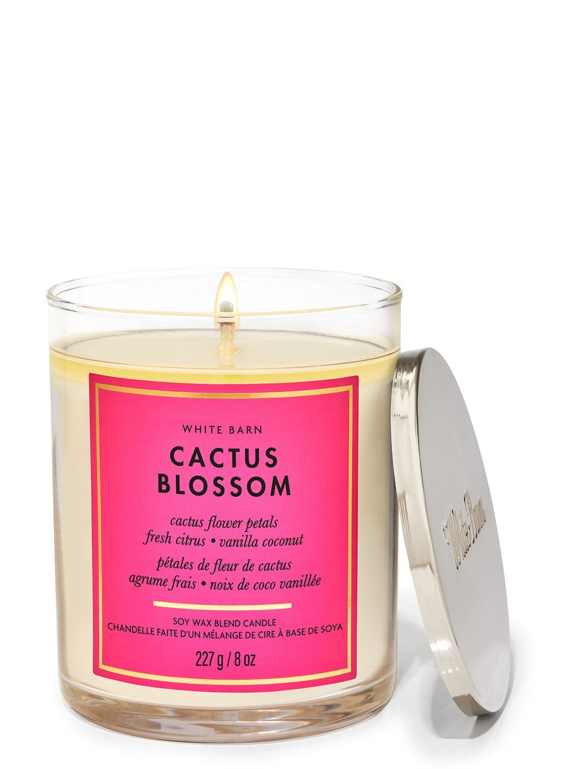 Cactus Blossom | Vela 1 Mecha 7oz - Bath & Body Works